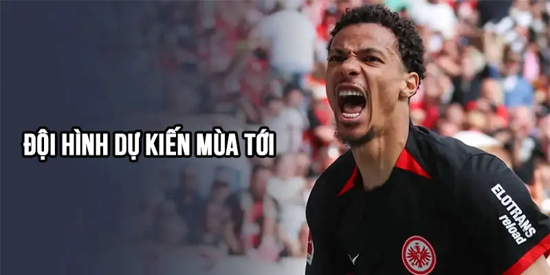 đội hình dự kiến mùa tới