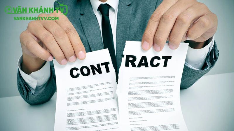 Những lưu ý quan trọng khi sử dụng dịch vụ tại vankhanhtv