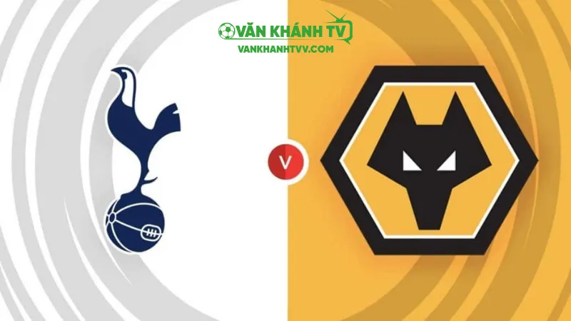 Nhận định Tottenham vs Wolves: Spurs sẽ tiếp tục đà thăng hoa?